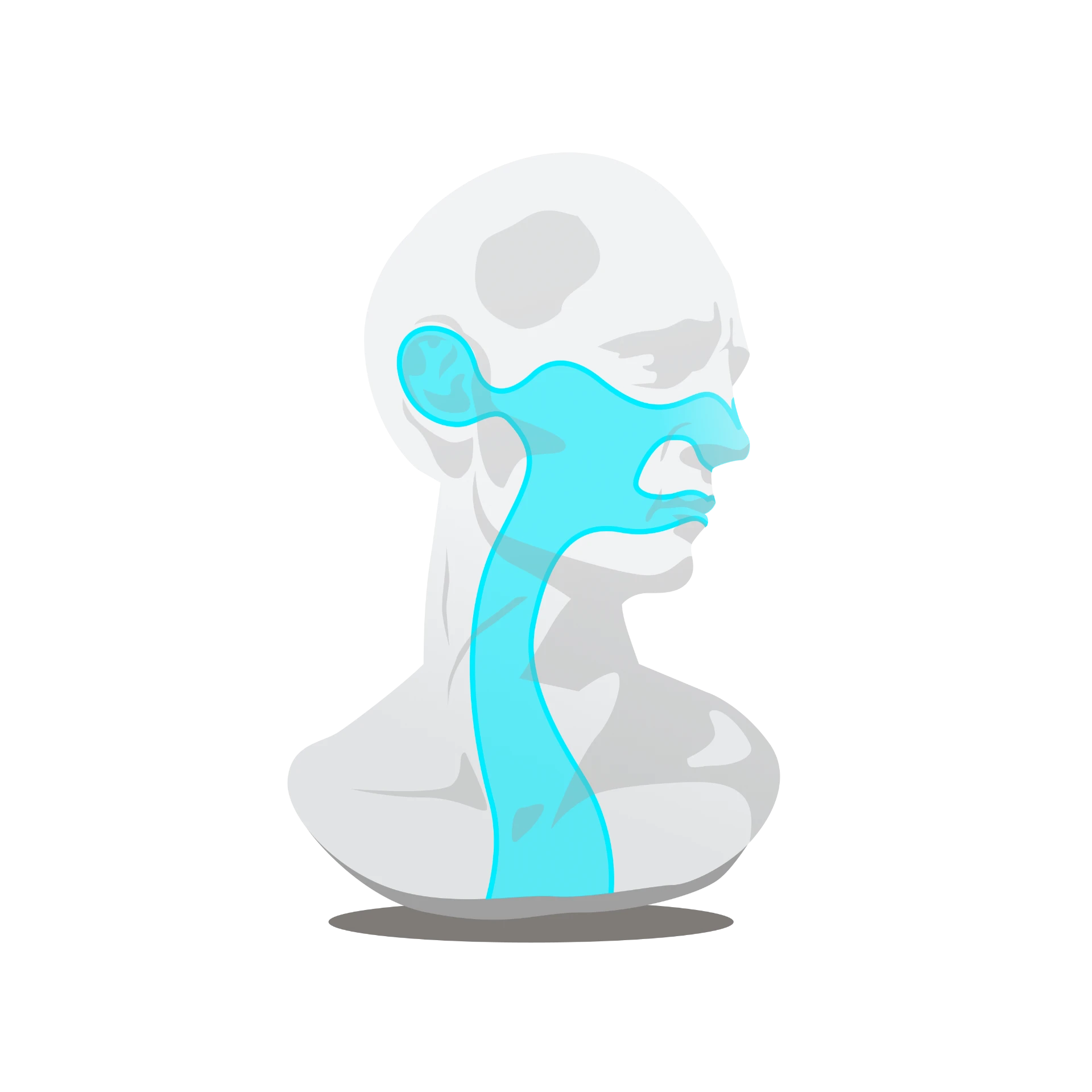 Símbolo do busto anatômico da ORL Academy